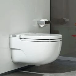 Hot Sale Toilet Store 45 Roca In-Tank Meridian Wall Hung Toilet with Integrated Cistern, Soft Close Seat + Frame