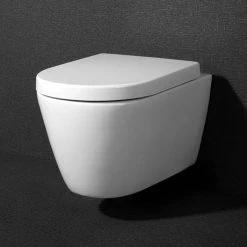 Arezzo Wall Hung Toilet incl. Soft Close Seat 10 Arezzo Wall Hung Toilet incl. Soft Close Seat -Hot Sale Toilet Store AZWHPAN D4 460