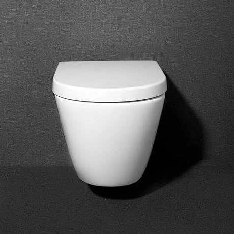 Dual Flush Concealed WC Cistern with Wall Hung Frame + Arezzo Toilet 2 Dual Flush Concealed WC Cistern with Wall Hung Frame + Arezzo Toilet - Image 2