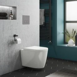 Dual Flush Concealed WC Cistern with Wall Hung Frame + Arezzo Toilet