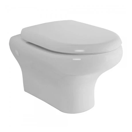 RAK Compact Wall Hung Pan + Quick Release Soft Close Urea Seat 1 RAK Compact Wall Hung Pan + Quick Release Soft Close Urea Seat