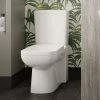Hudson Reed Arlo Flush to Wall Toilet + Soft Close Seat