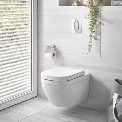 Grohe Euro Rimless Wall Hung Toilet with Soft Close Seat + FREE TOILET ROLL HOLDER 10 Grohe Euro Rimless Wall Hung Toilet with Soft Close Seat + FREE TOILET ROLL HOLDER -Hot Sale Toilet Store EURWHWC D7 460
