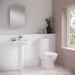 Hot Sale Toilet Store -Hot Sale Toilet Store R585WC d1 460