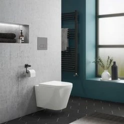 RAK Resort Wall Hung Rimless Pan + Quick Release Soft Close Urea Seat 11 RAK Resort Wall Hung Rimless Pan + Quick Release Soft Close Urea Seat -Hot Sale Toilet Store RSTWHPAN SC detail4 460