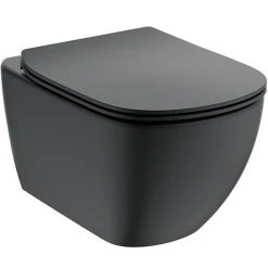 Hot Sale Toilet Store 34 Ideal Standard Tesi Silk Black AquaBlade Wall Hung WC + Soft Close Seat